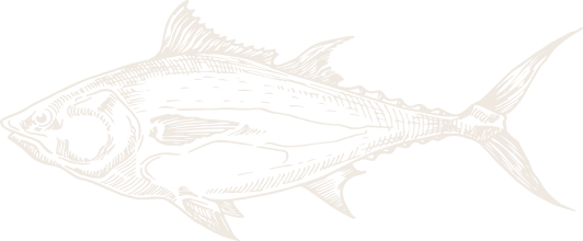 a drawing of a fish