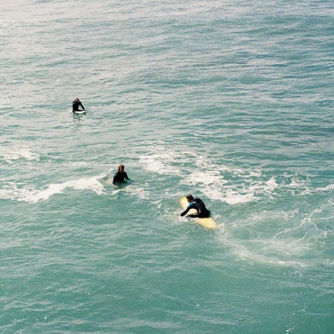 a group of people surfing in the ocean