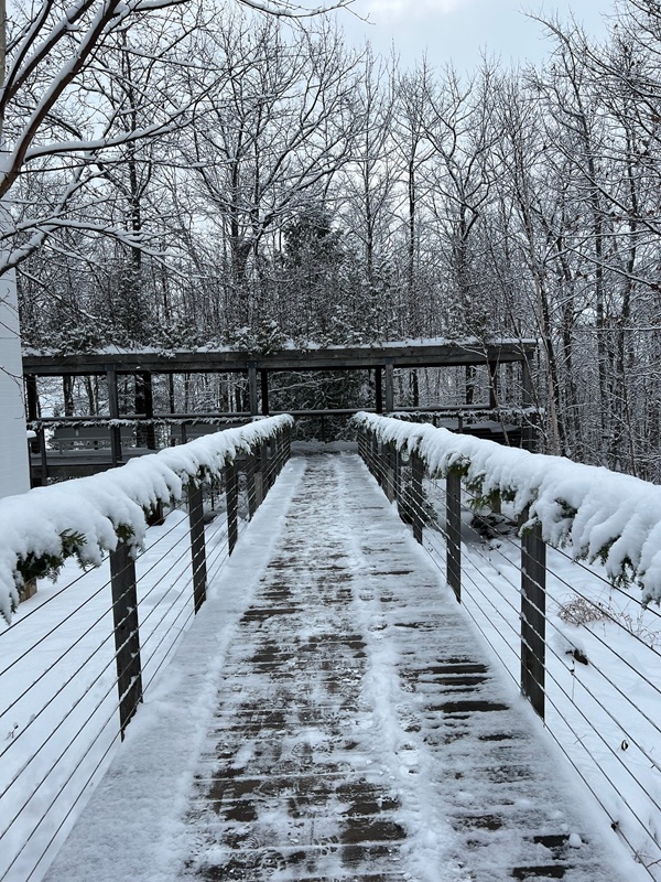 a snow covered bridge with trees in the background