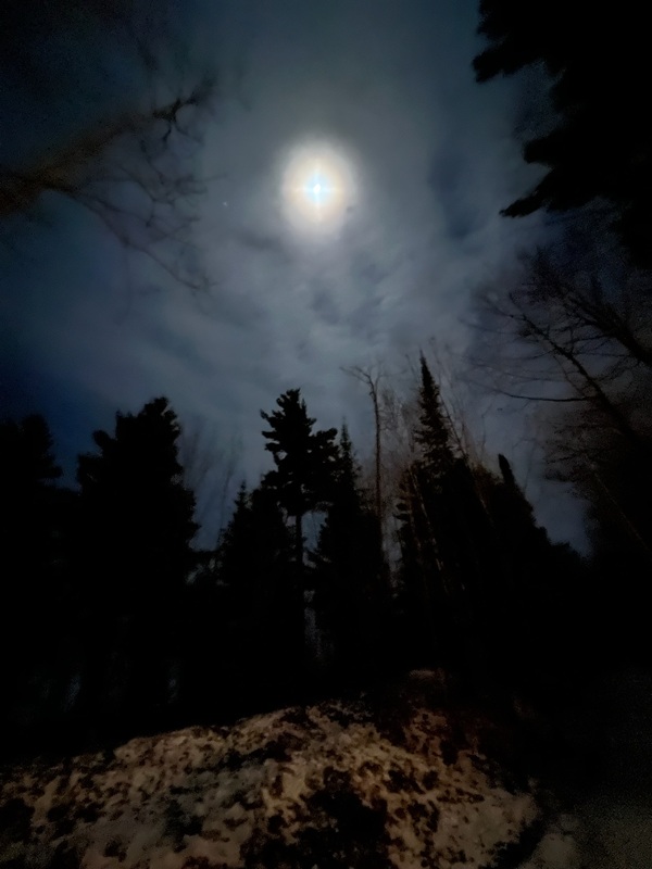 a moon in the sky above trees