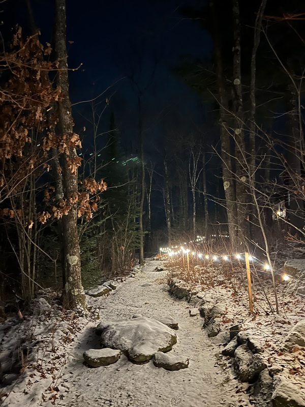 a path with lights on it in the snow