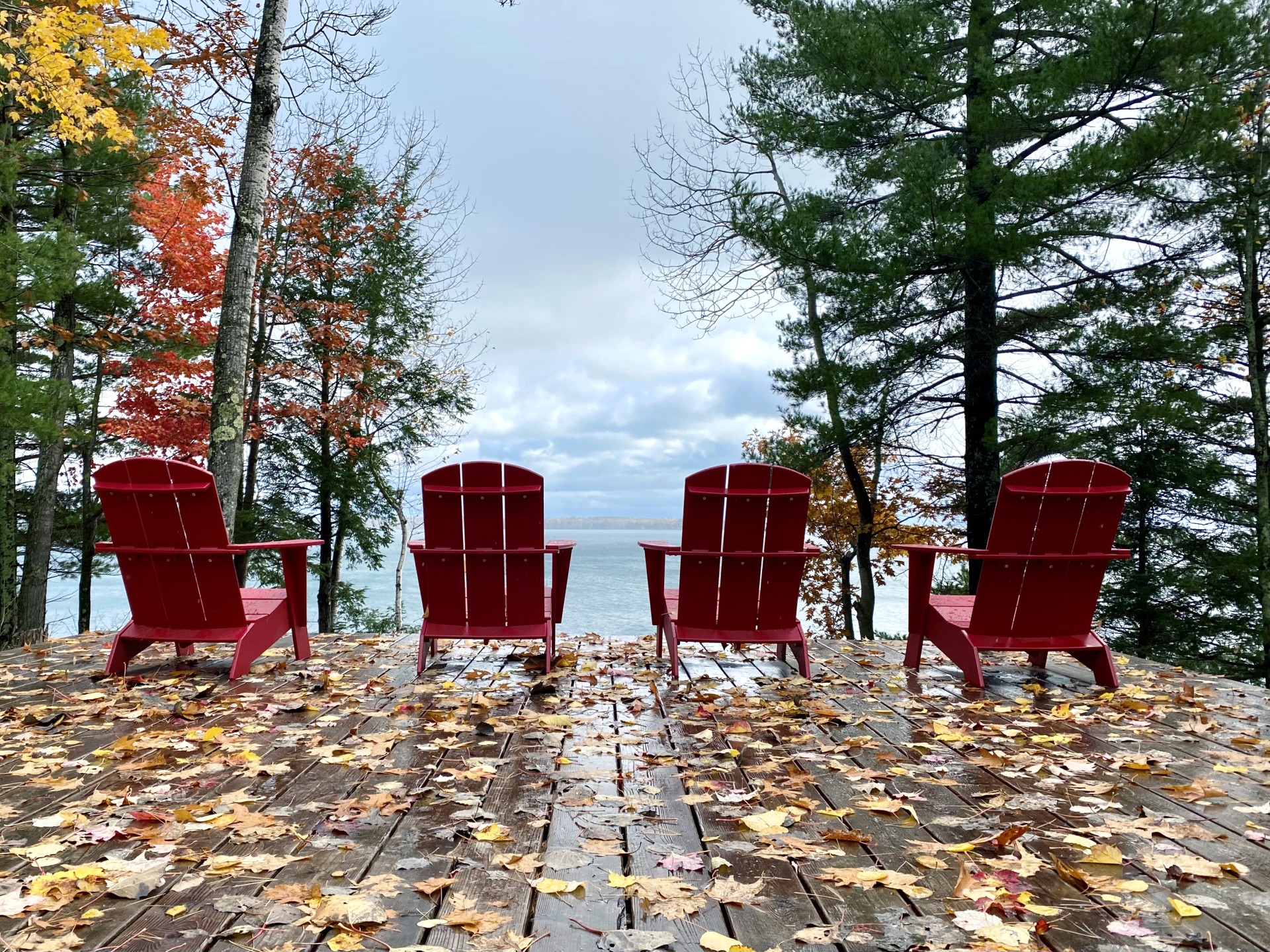 a group of red chairs on a deck with trees and water in the background