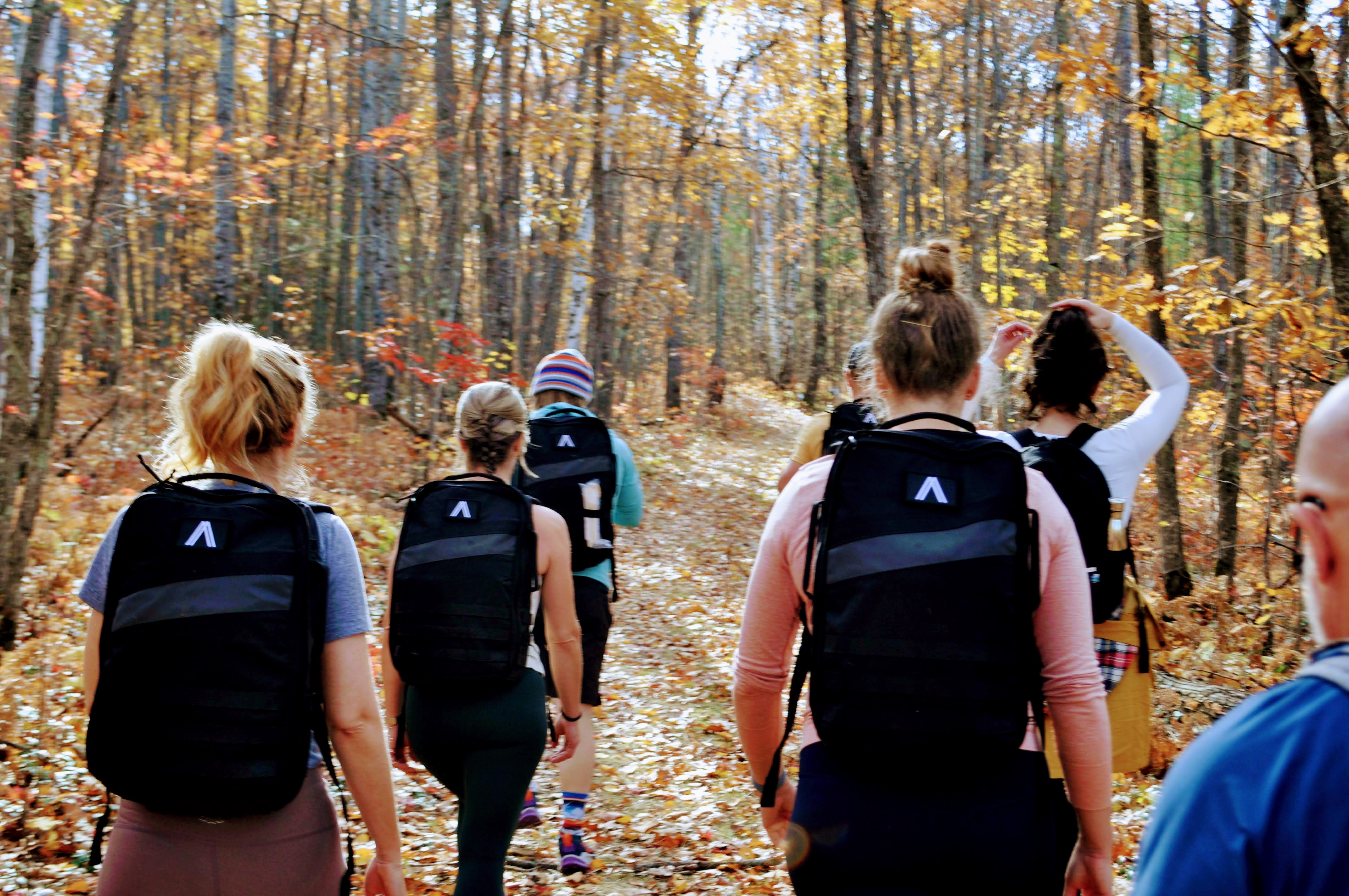a group of people walking in the woods