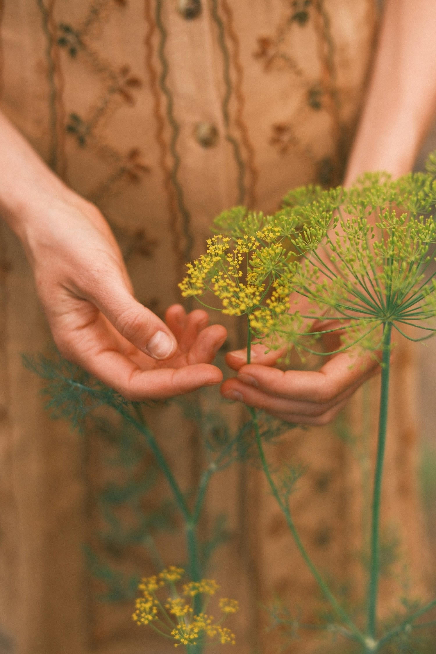 a person holding a plant