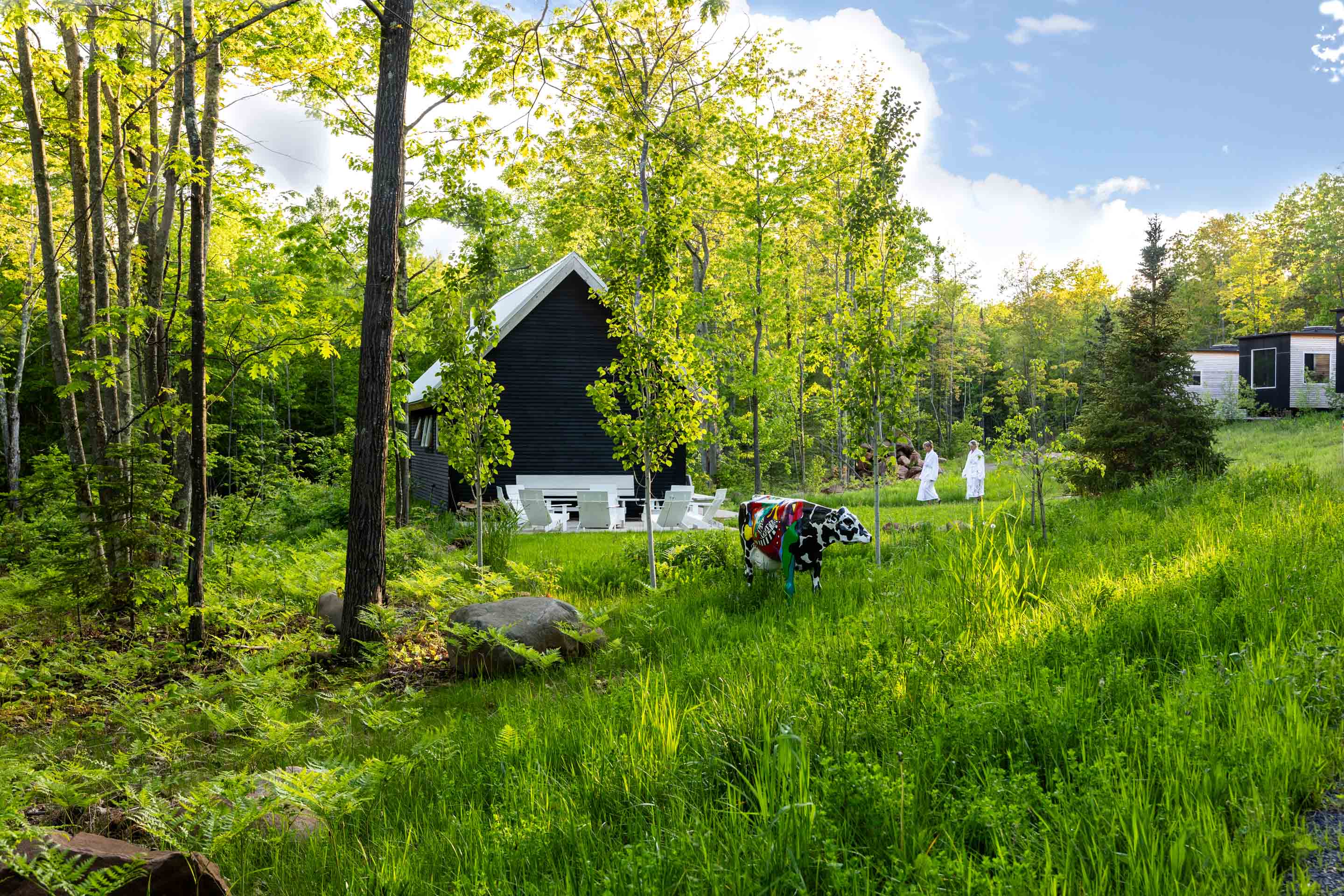 a cow in a field with trees and people in the background