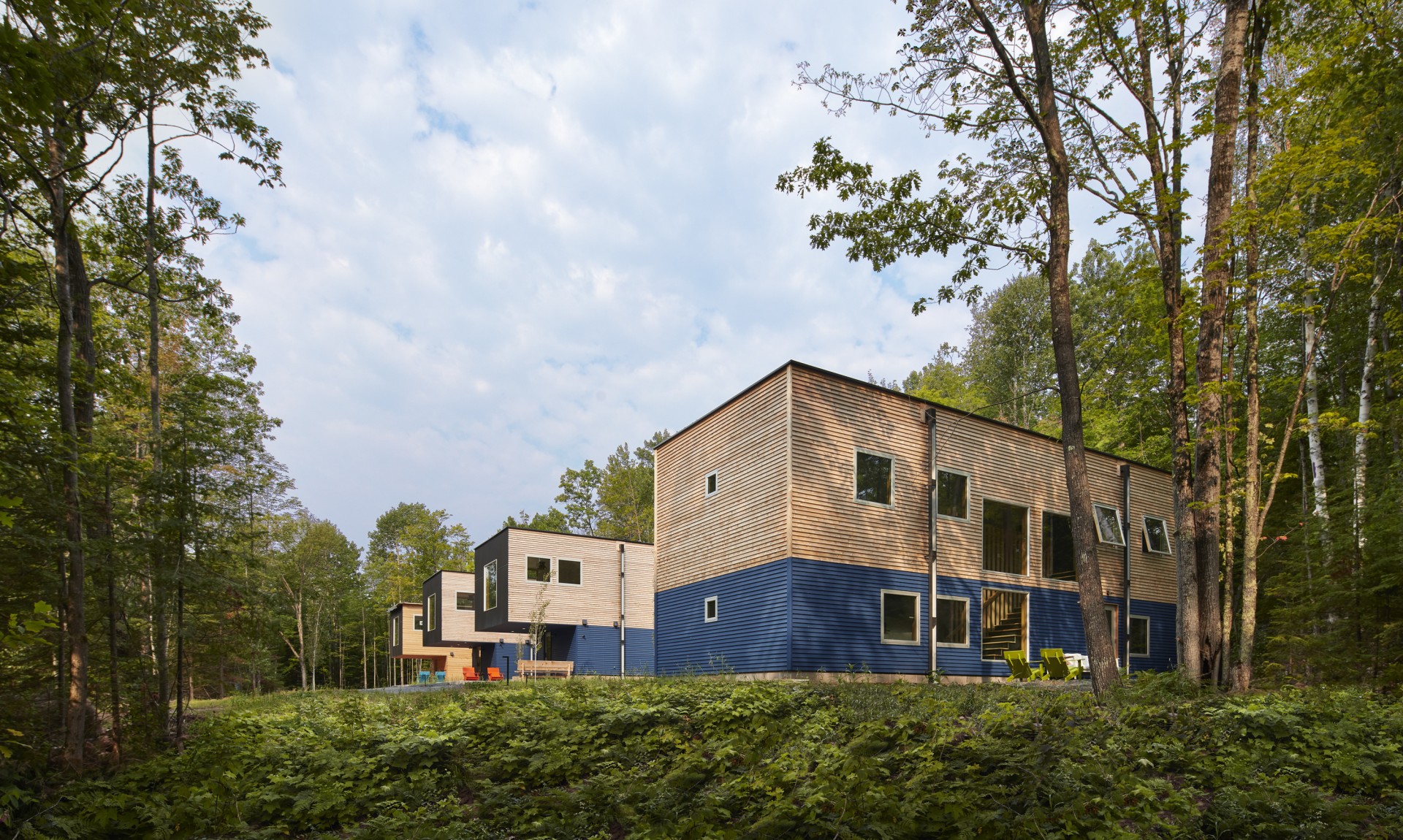 a row of houses in the woods