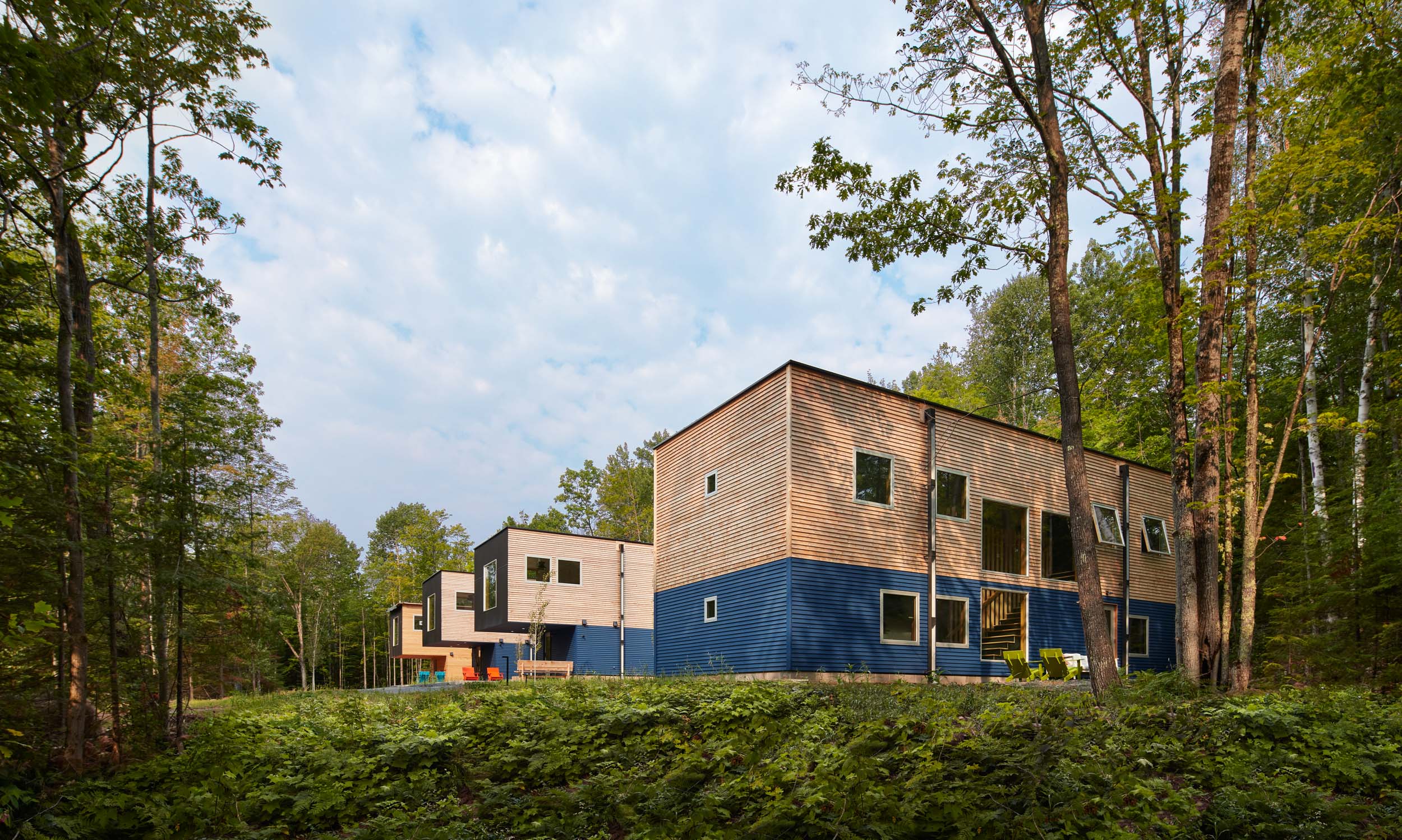 a row of houses in the woods