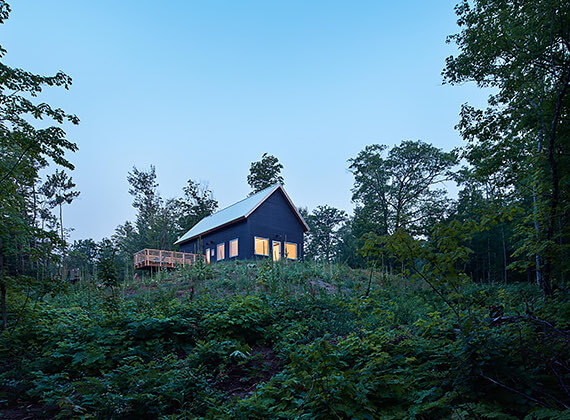 a view house in the middle of the forest