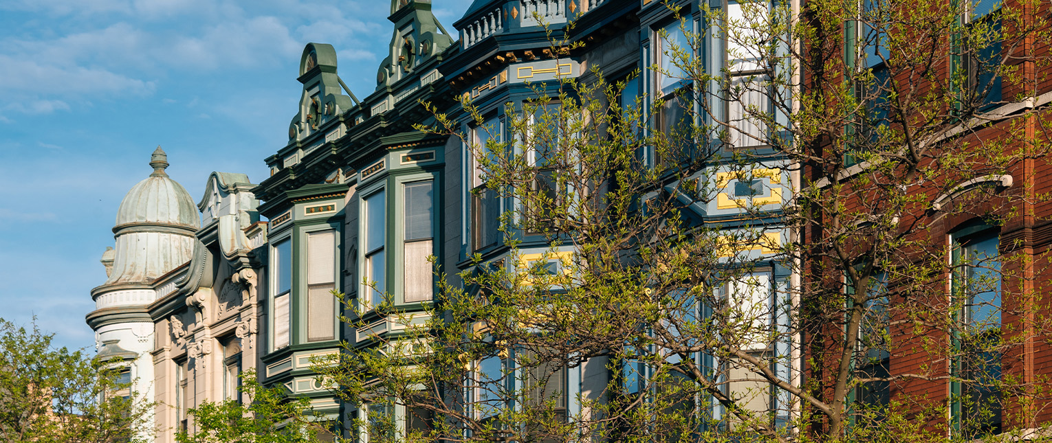 a tree next to a building