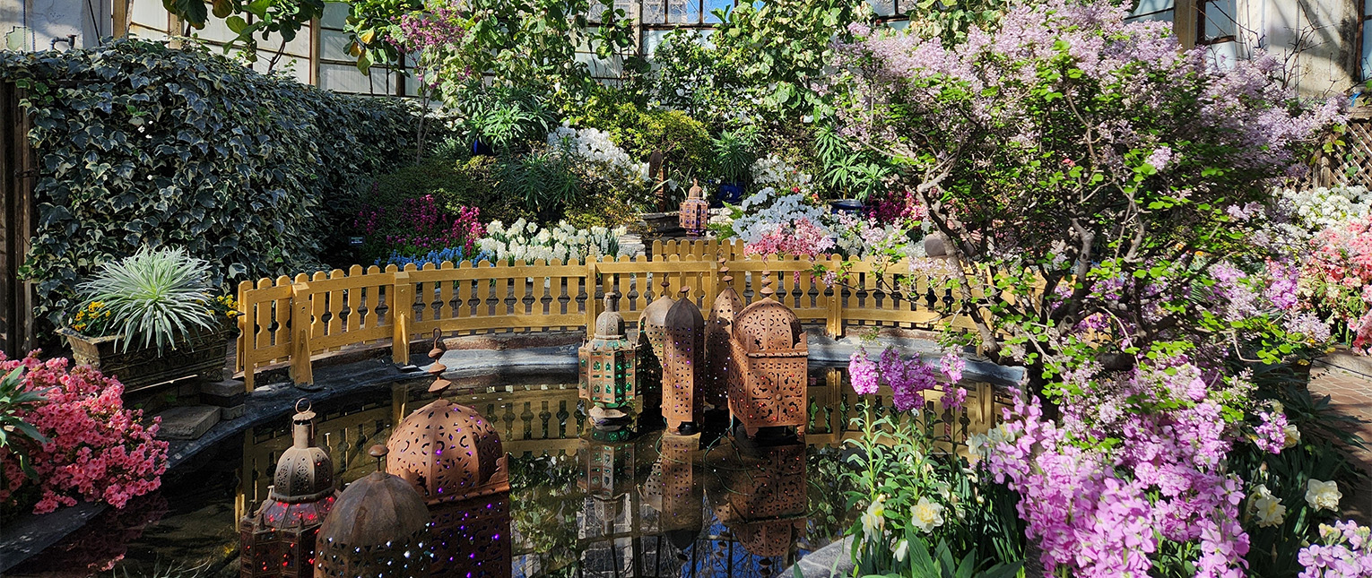 a pond with lanterns and flowers