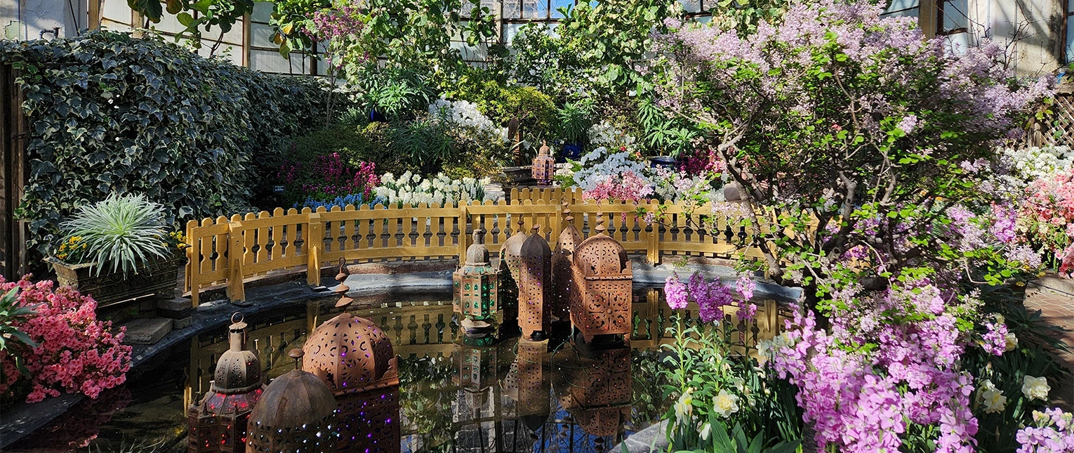 a pond with lanterns and flowers