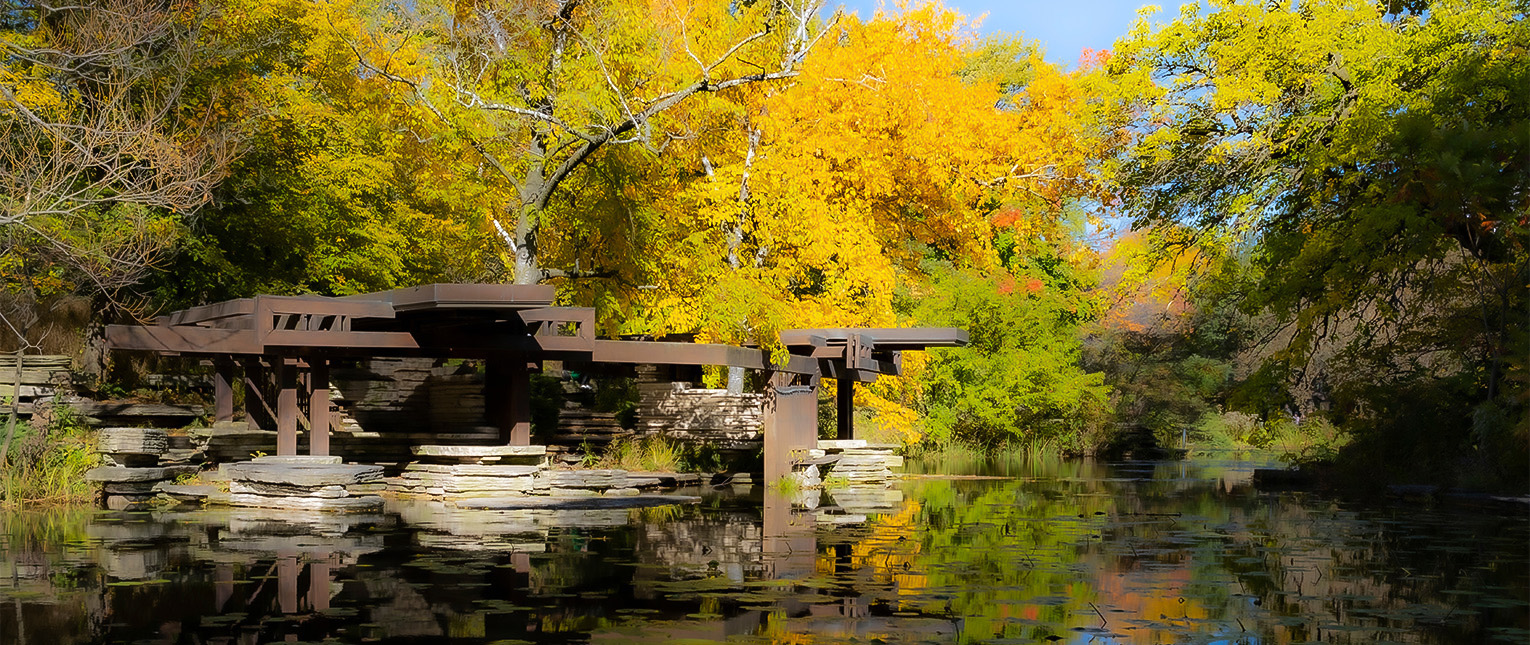 a bridge over water with trees in the background