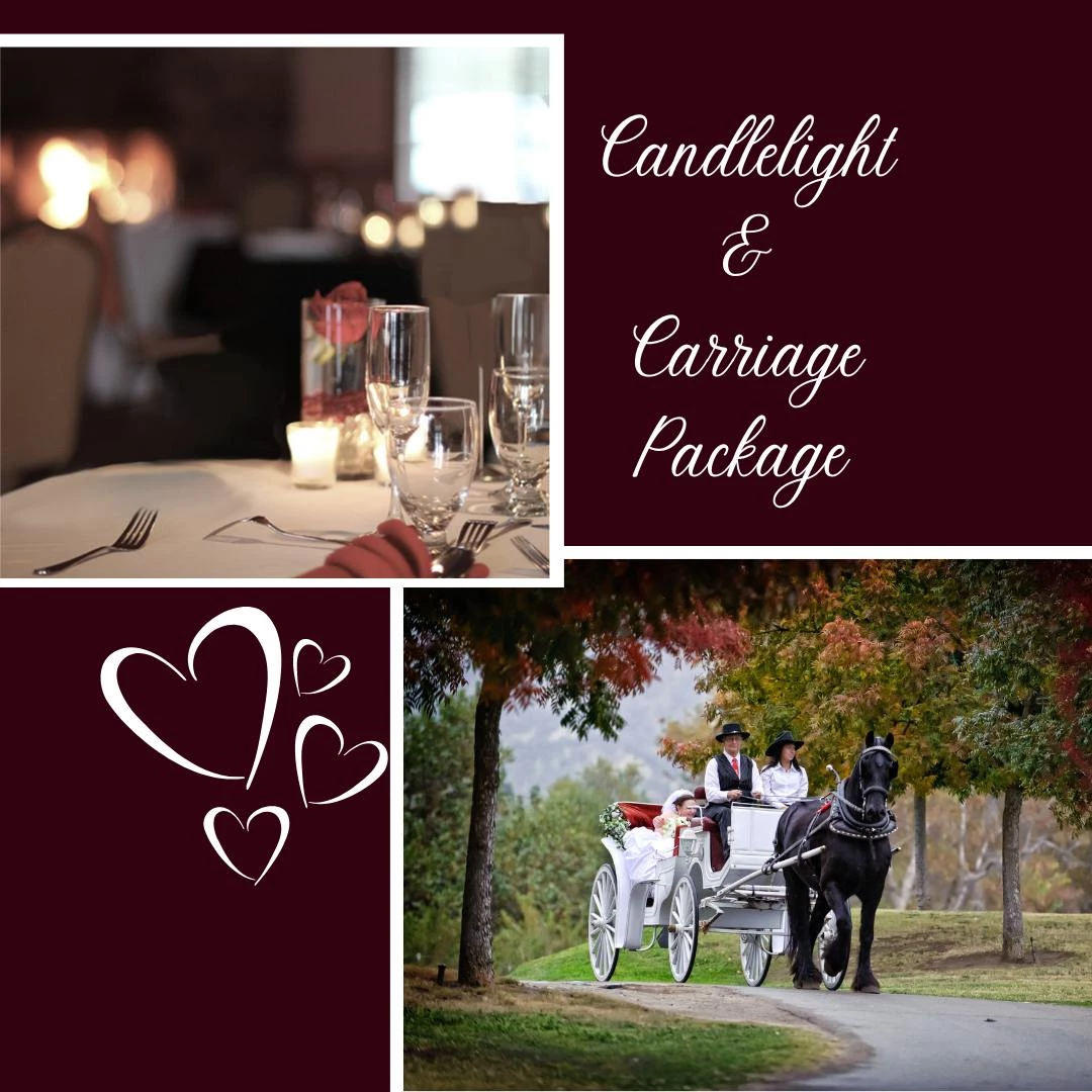 a collage of a horse drawn romantic carriage