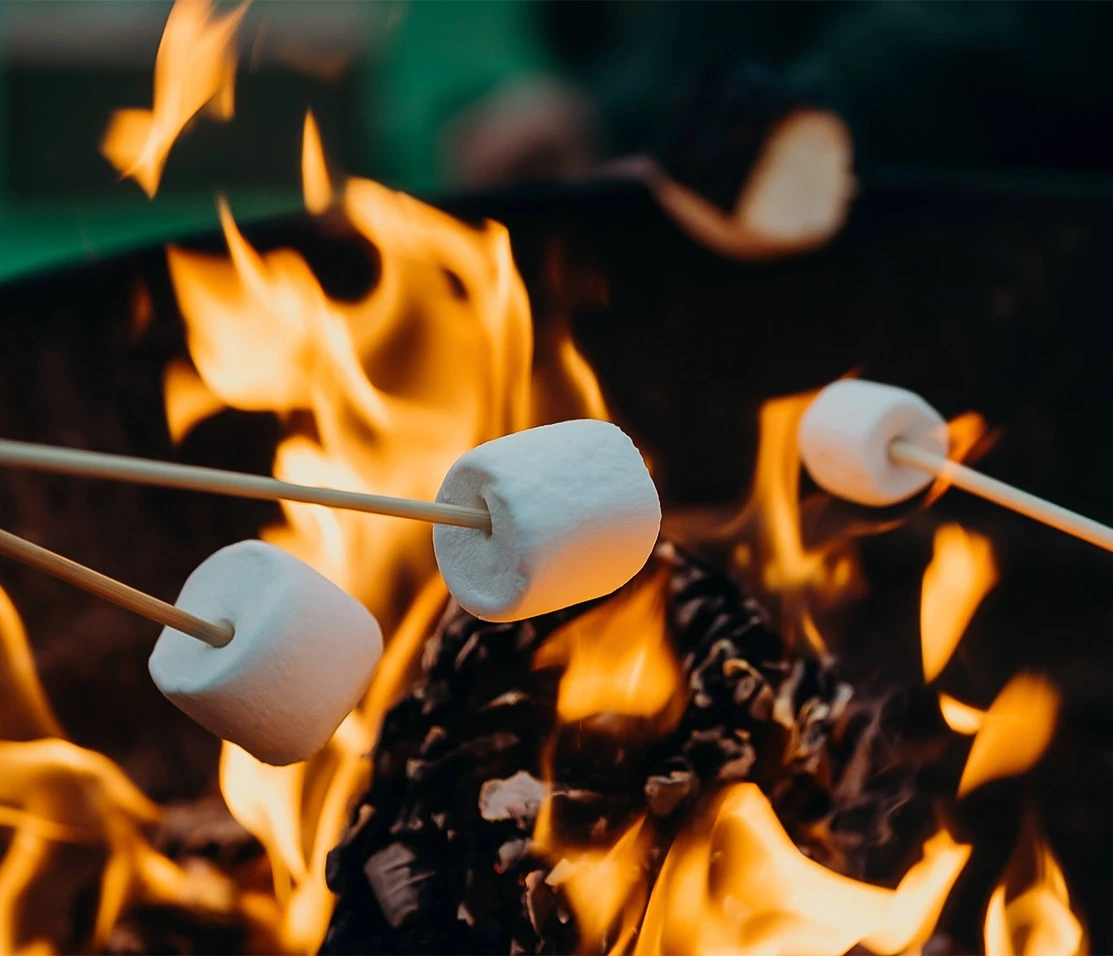 marshmallows roasting on a fire