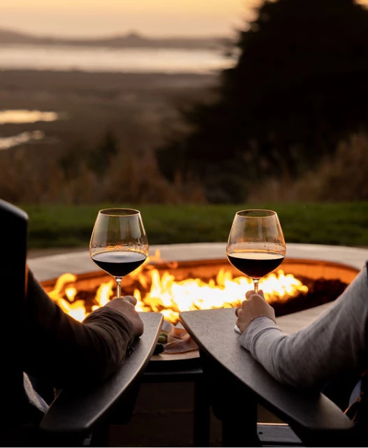 a couple of people holding wine glasses by a fire pit