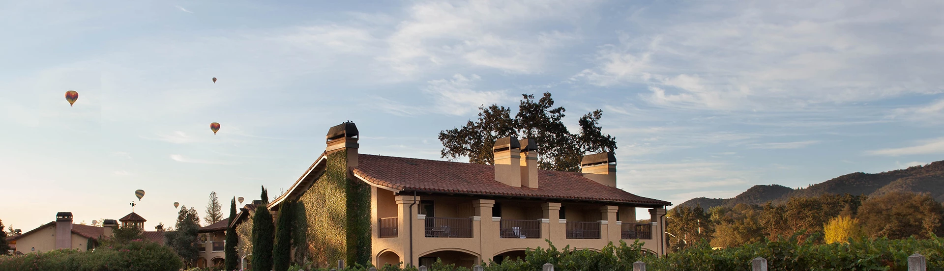 View of a big property and some hot air balloons 