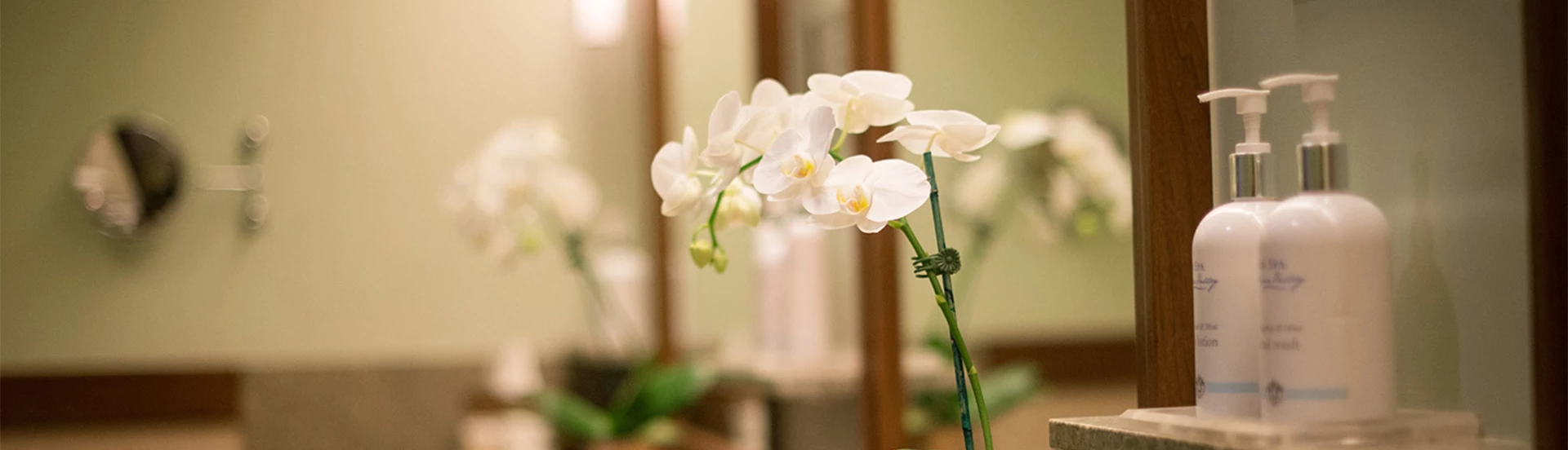 Closeup of a flower and some body cream at the spa