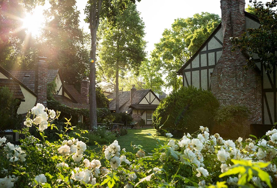 General view of a wonderful garden next to some cabins