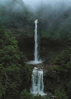a waterfall in a forest