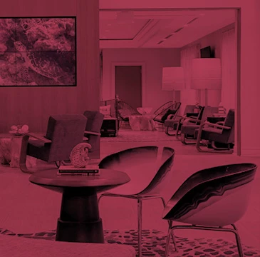 whg ourcollection backrenaissance