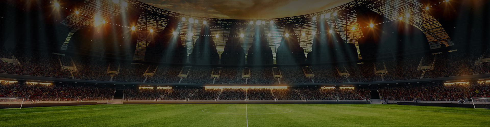 a stadium with a crowd of people