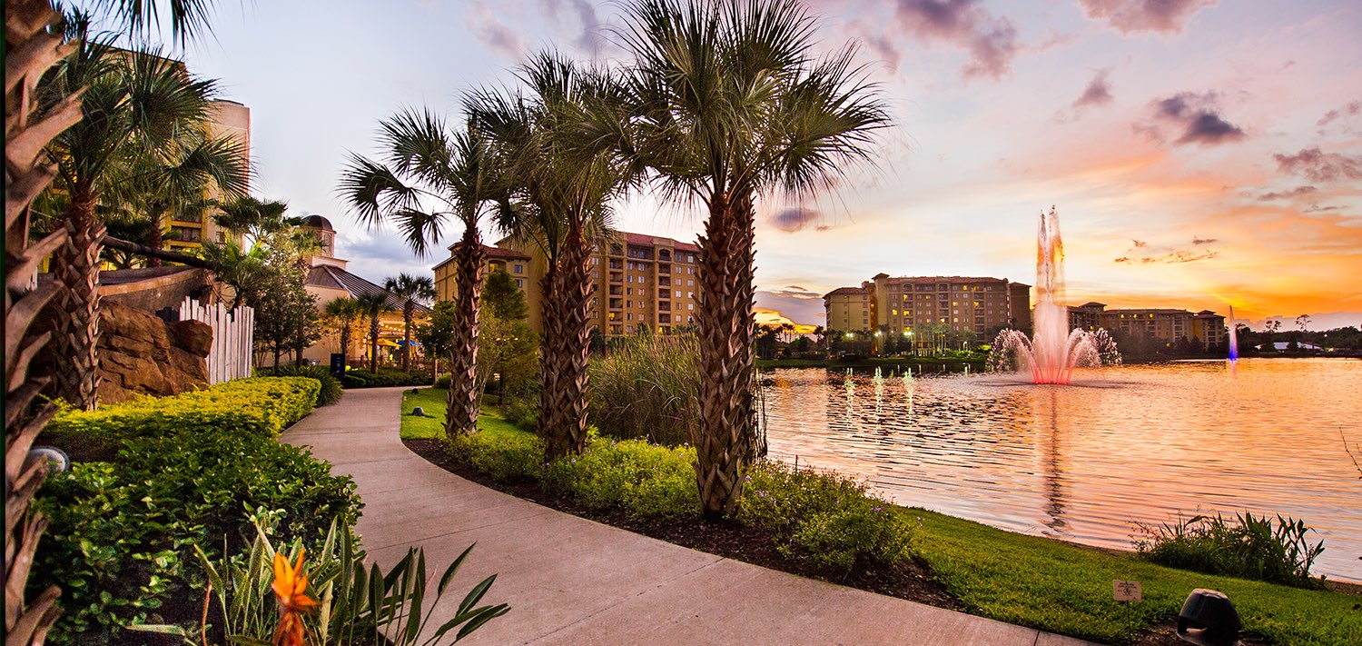lakeside walking path lined with palm trees
