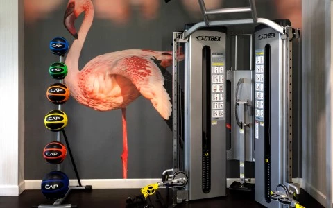 a gym with a large flamingo mural