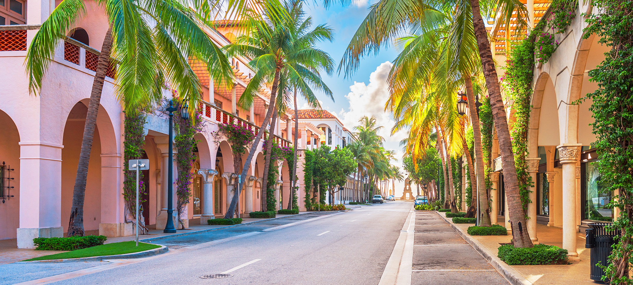 a street with palm trees and buildings