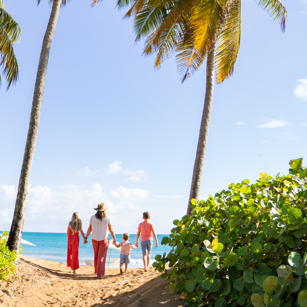 a group of people walking on a beach