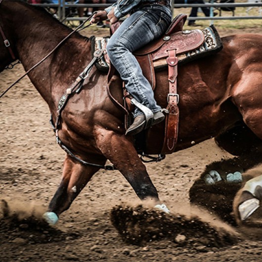a person riding a horse