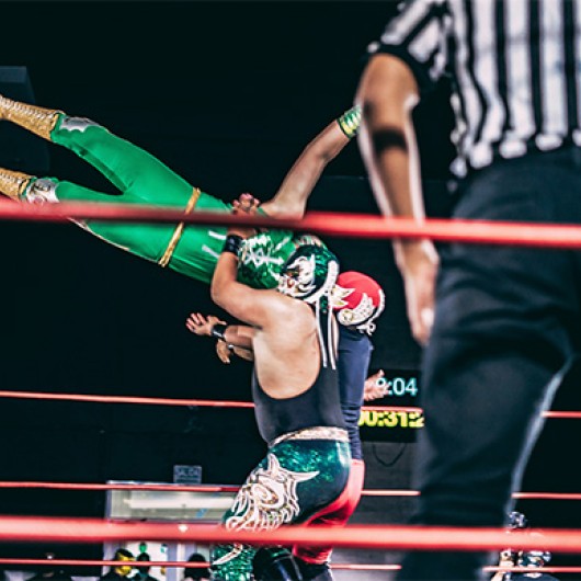 a group of people in a wrestling ring