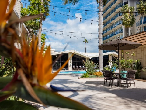 a patio with umbrellas and chairs and a pool