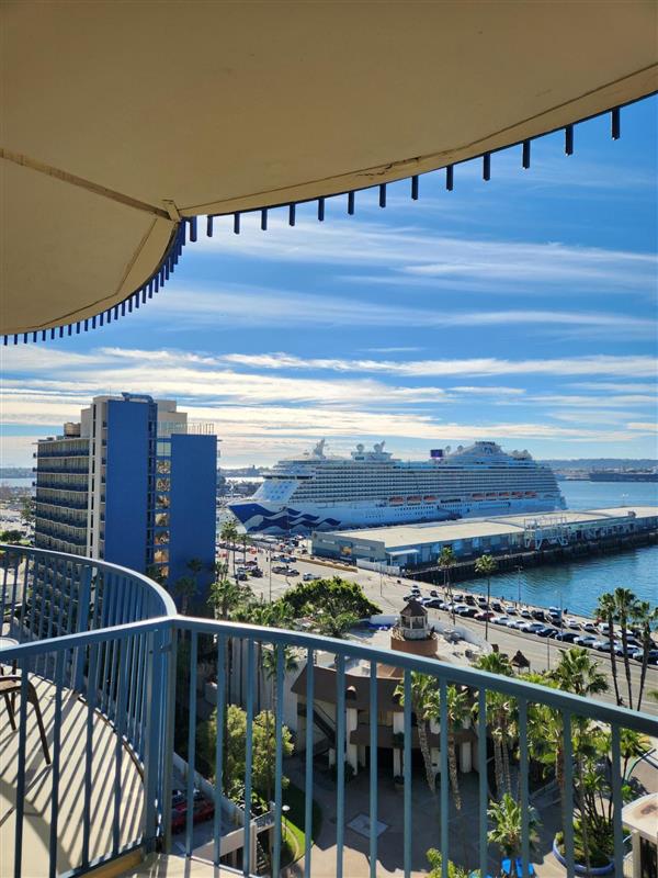 a cruise ship in a port