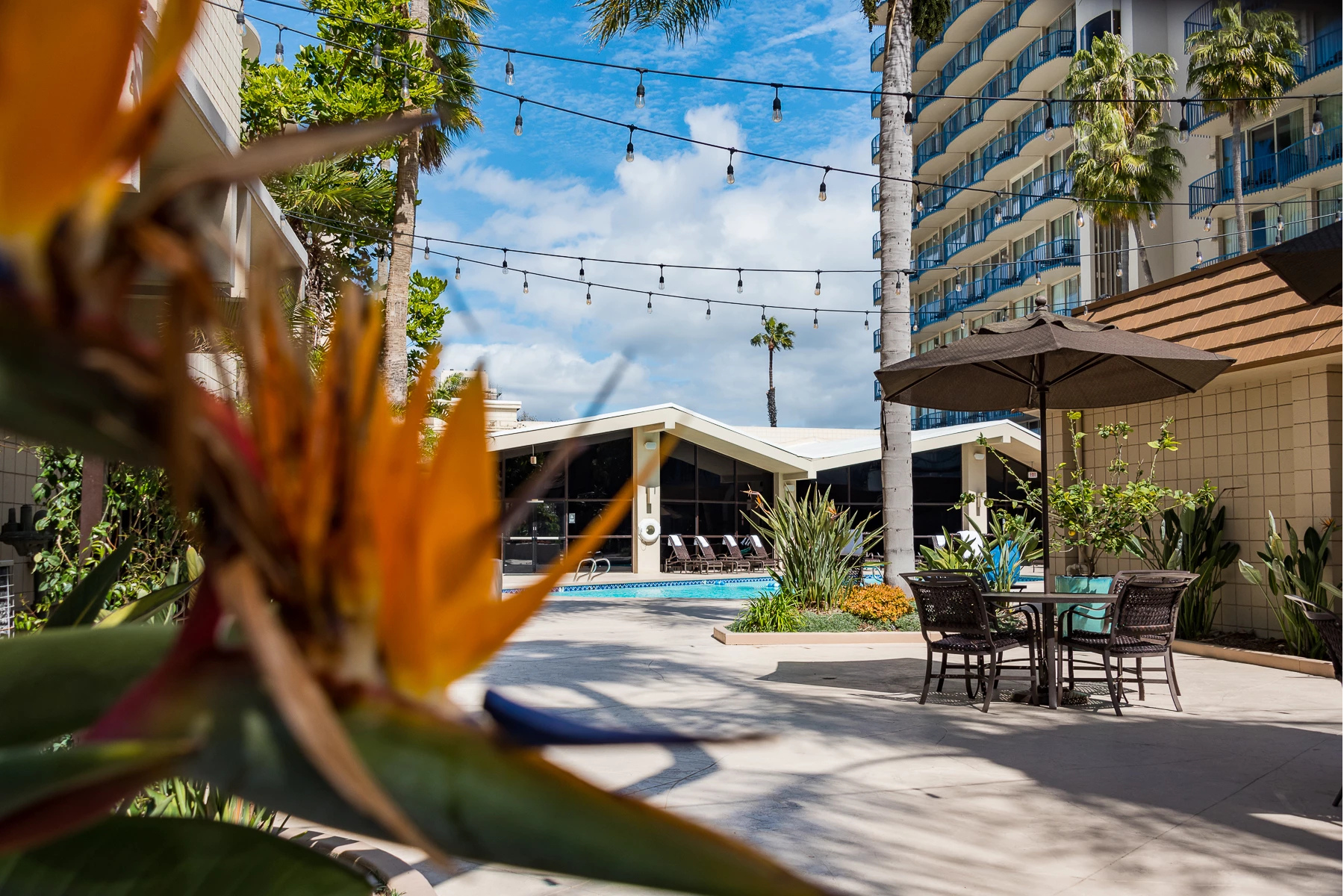 a patio with umbrellas and chairs and a pool