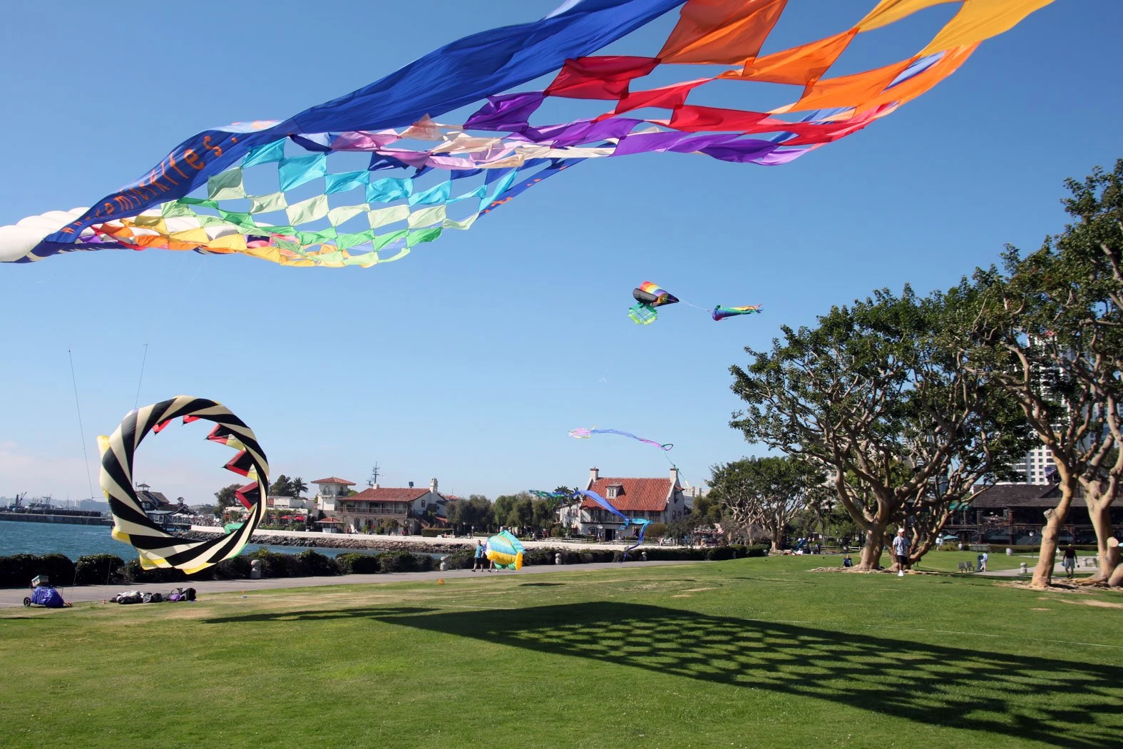 Large park green with colorful kites being flown