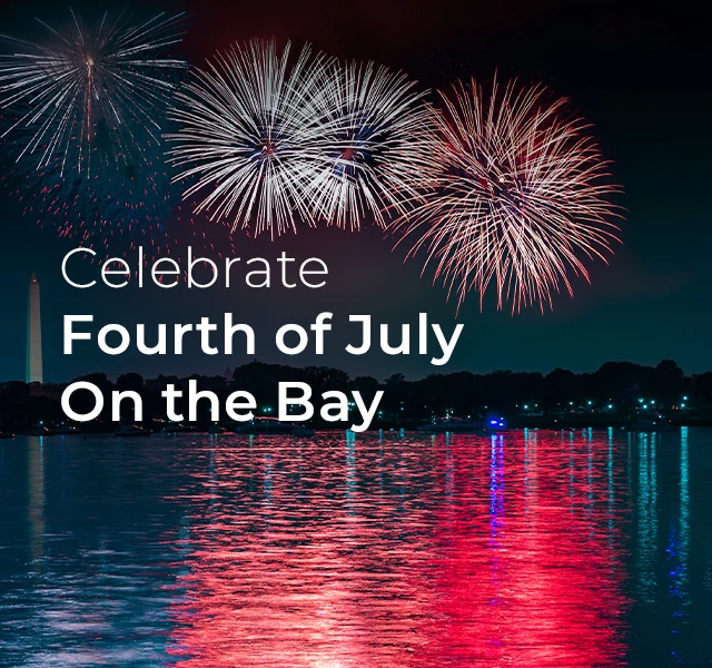 fireworks in the night sky at a beach