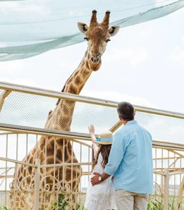 little girl and her father looking at giraffe at the zoo