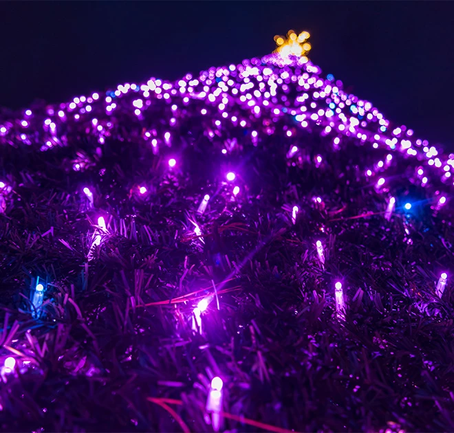 a close up of a christmas tree