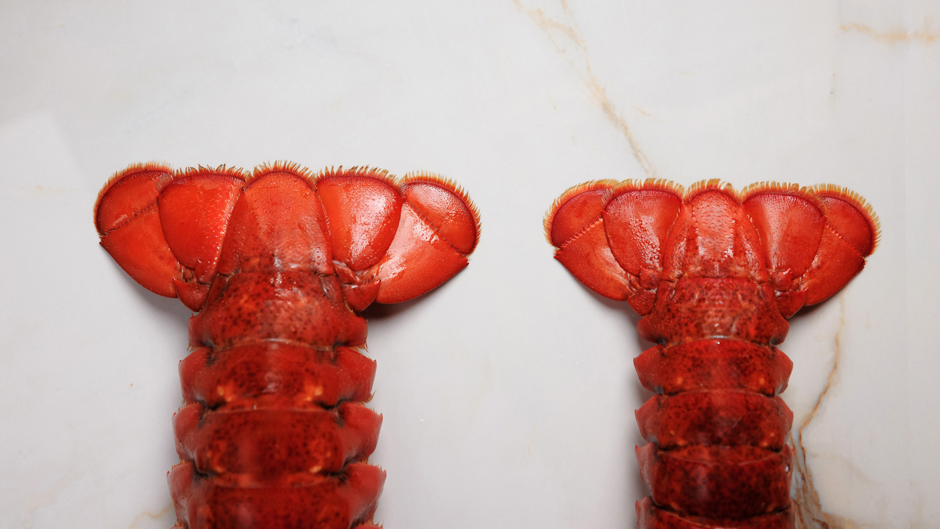 a lobster tail on a white surface