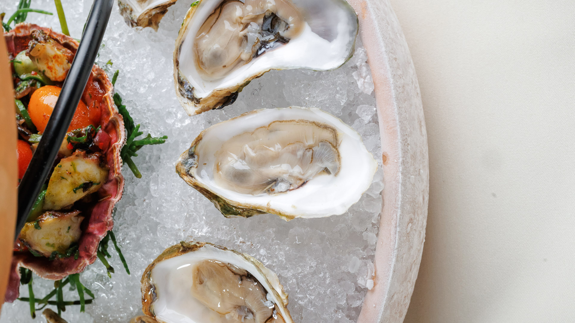 a plate of oysters on ice