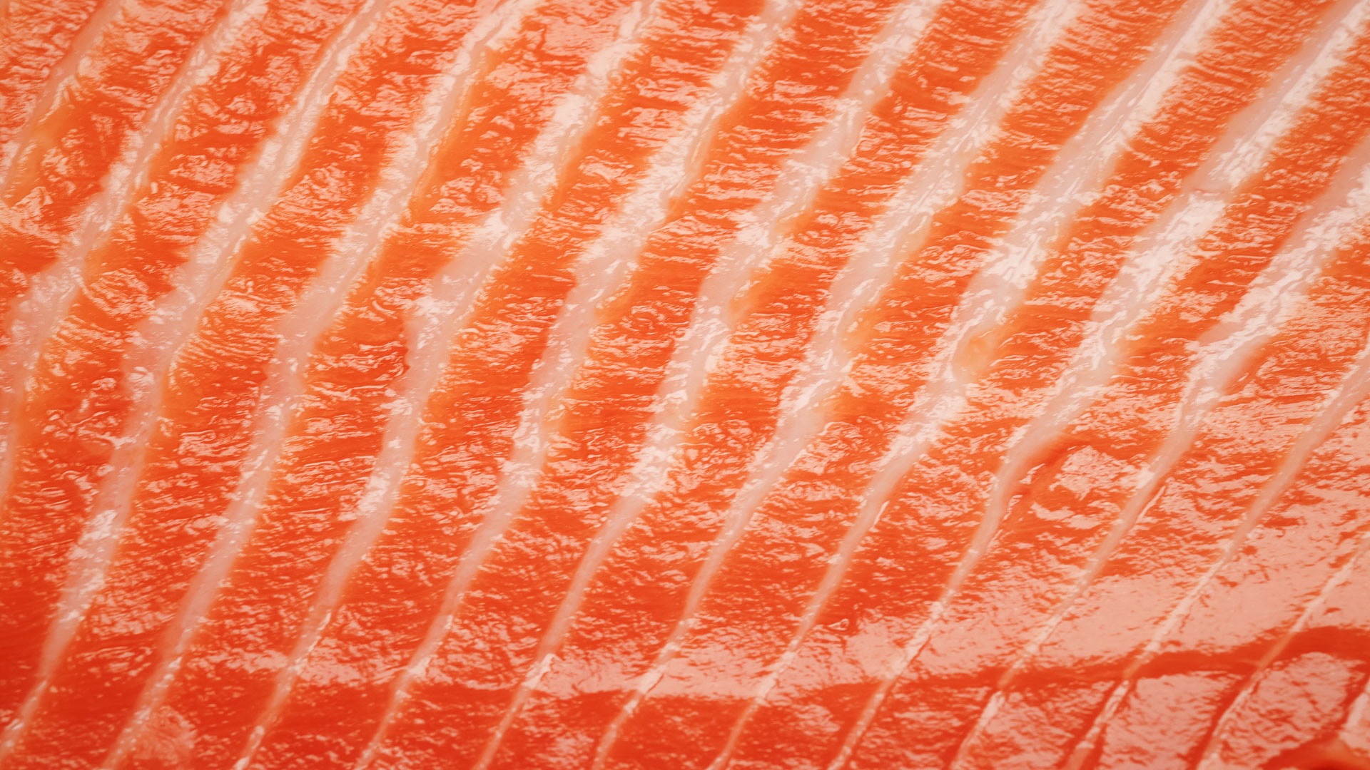 a close up of a piece of meat