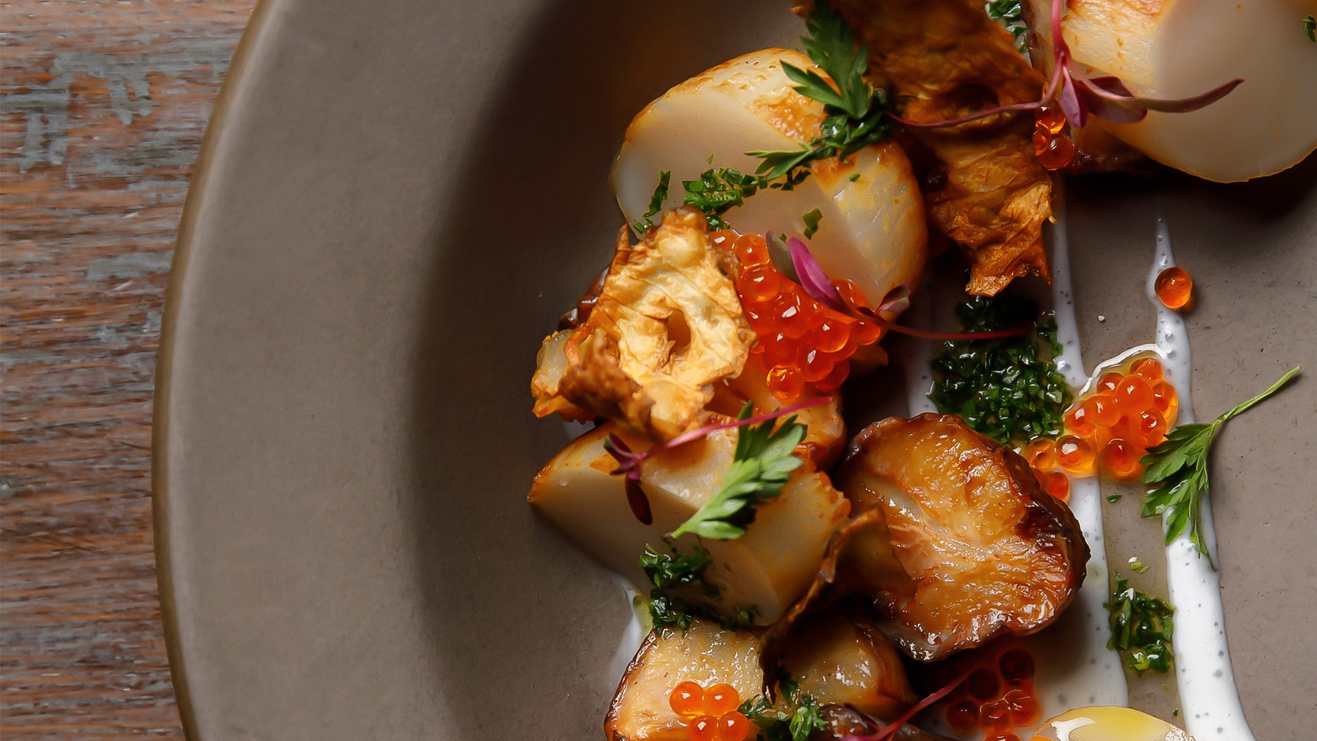 a plate of food on a plate