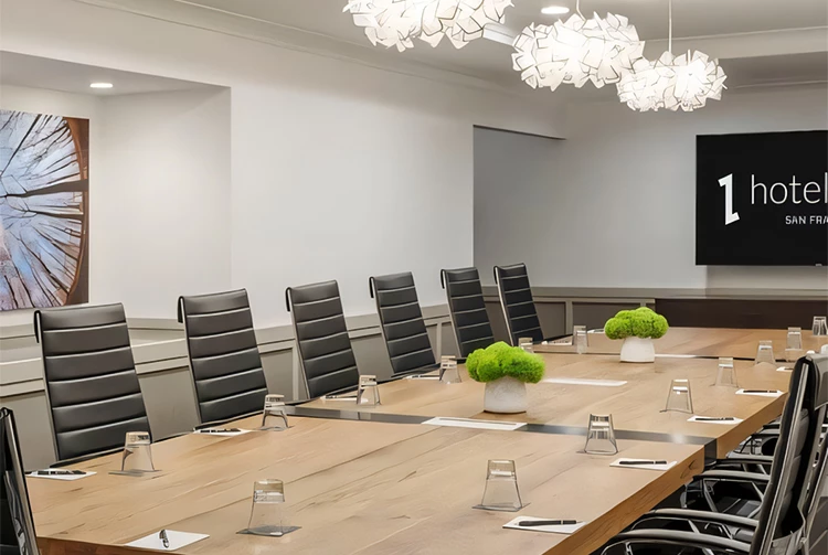 a conference room with chairs and a table with a vase of green plants