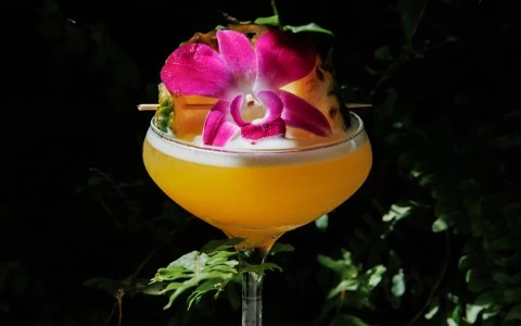 a glass with a drink and a flower