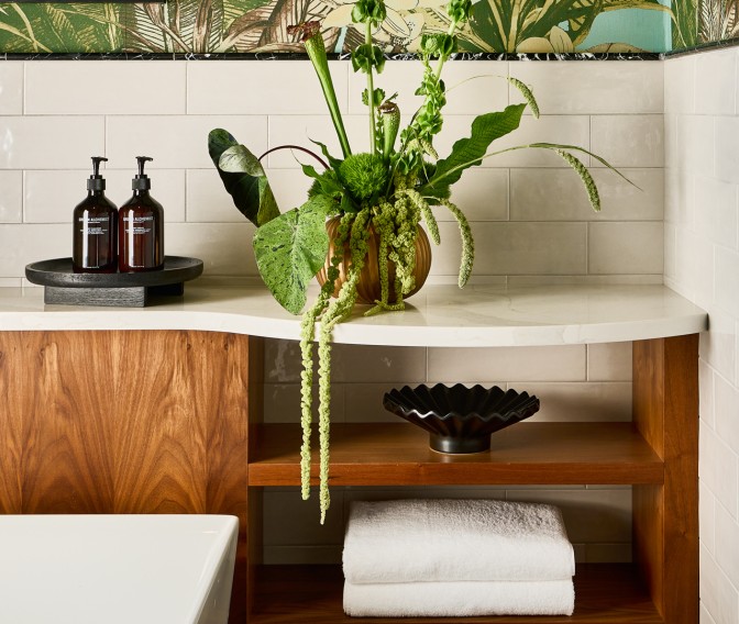 a plant on a counter