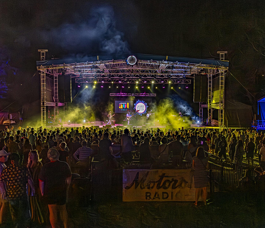 a crowd of people watching a concert