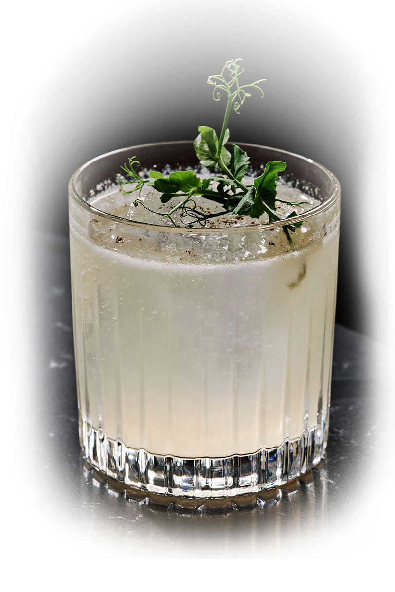 a glass with a drink and a plant on it